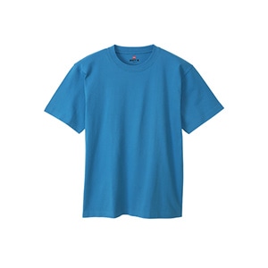 Tシャツ | ヘインズの公式通販サイト(並び順：価格(高い順) 5／6ページ)